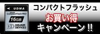 CF購入でエクスプレスカードプレゼント