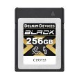 画像1: Delkin 256GB BLACK 4.0 CFexpress Type B メモリーカード (1)