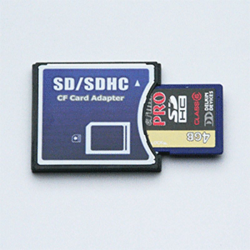 画像1: DELKIN SDHC PROカード Class6 4GB ＋ SDHC/CF変換アダプタ セット