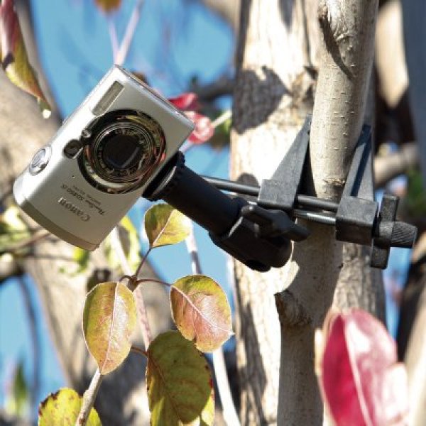 画像5: FatGecko ゲーターマウント  クランプ式カメラマウント [DDFG-GATOR]