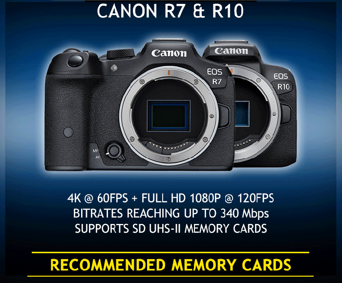 CANON R7/R10 カメラスポットライト