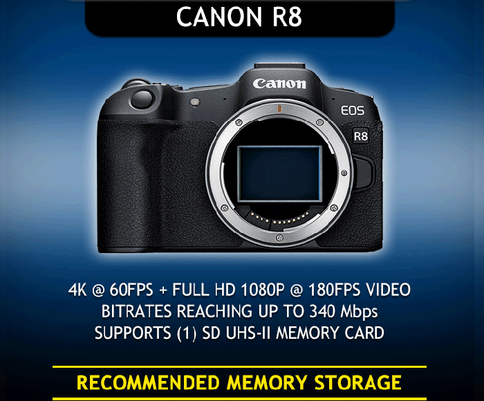 CANON R8 カメラスポットライト