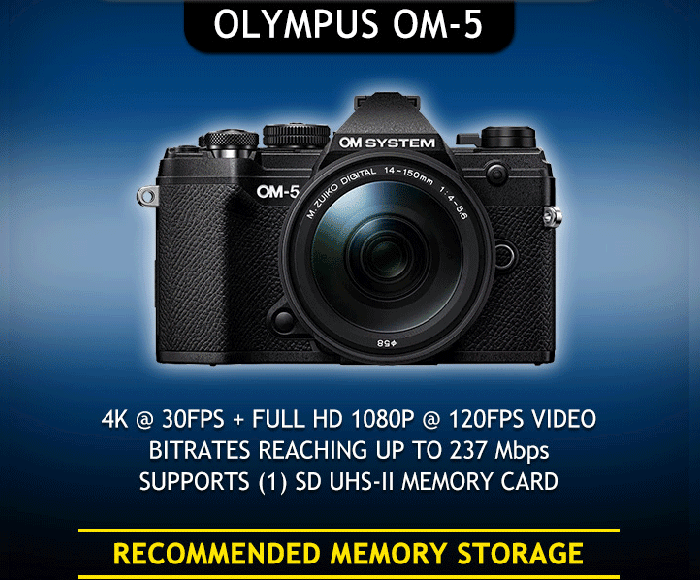 OLIMPUS OM-5  カメラスポットライト
