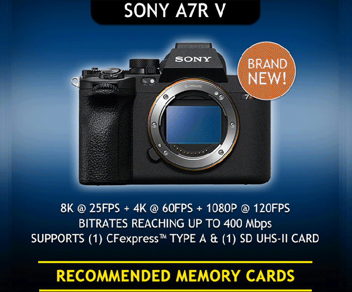 SONY α7R V カメラスポットライト