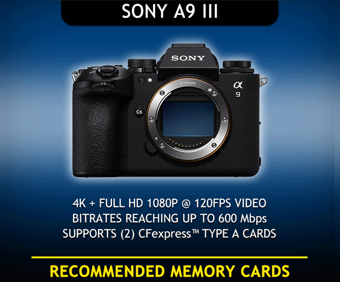 SONY A9 III カメラスポットライト
