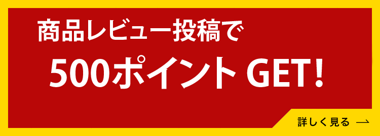 レビューで500ポイントGET