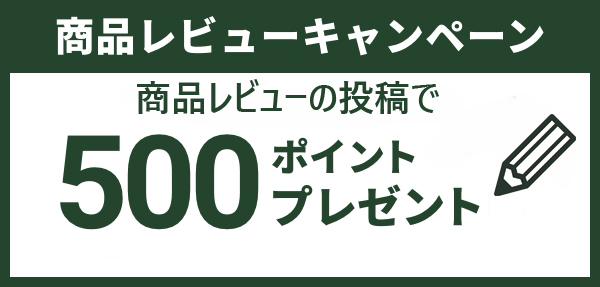 レビューで500ポイントGET