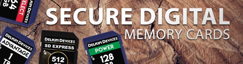 Delkin MicroSD 256 GB Advantage UHS-I 660X Memory Card