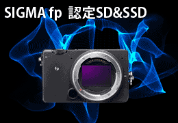 SIGMA fp対応 V90 SDカード