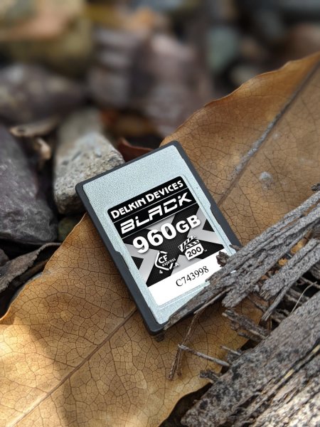 画像5: Delkin 960GB BLACK 4.0 CFexpress Type A VPG200 メモリーカード (5)