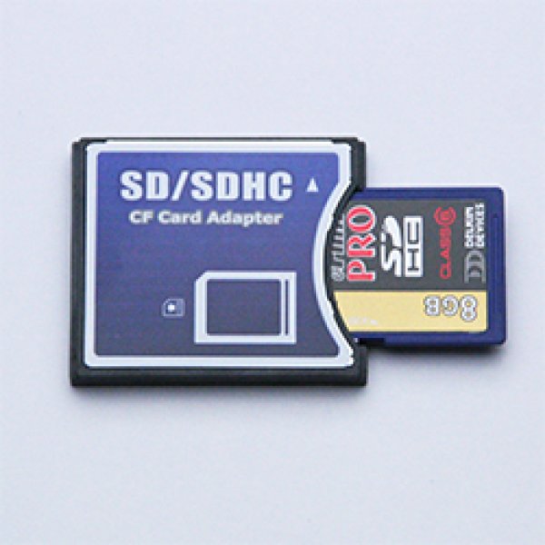 画像1: DELKIN SDHC PROカード Class6 8GB + SDHC/CF変換アダプタ セット (1)